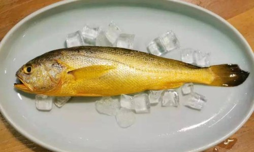 营养性甜味剂有哪些-权威营养甜品的做法大全平台,分享专业营养性甜味剂名词解释知识_营养性甜味剂网